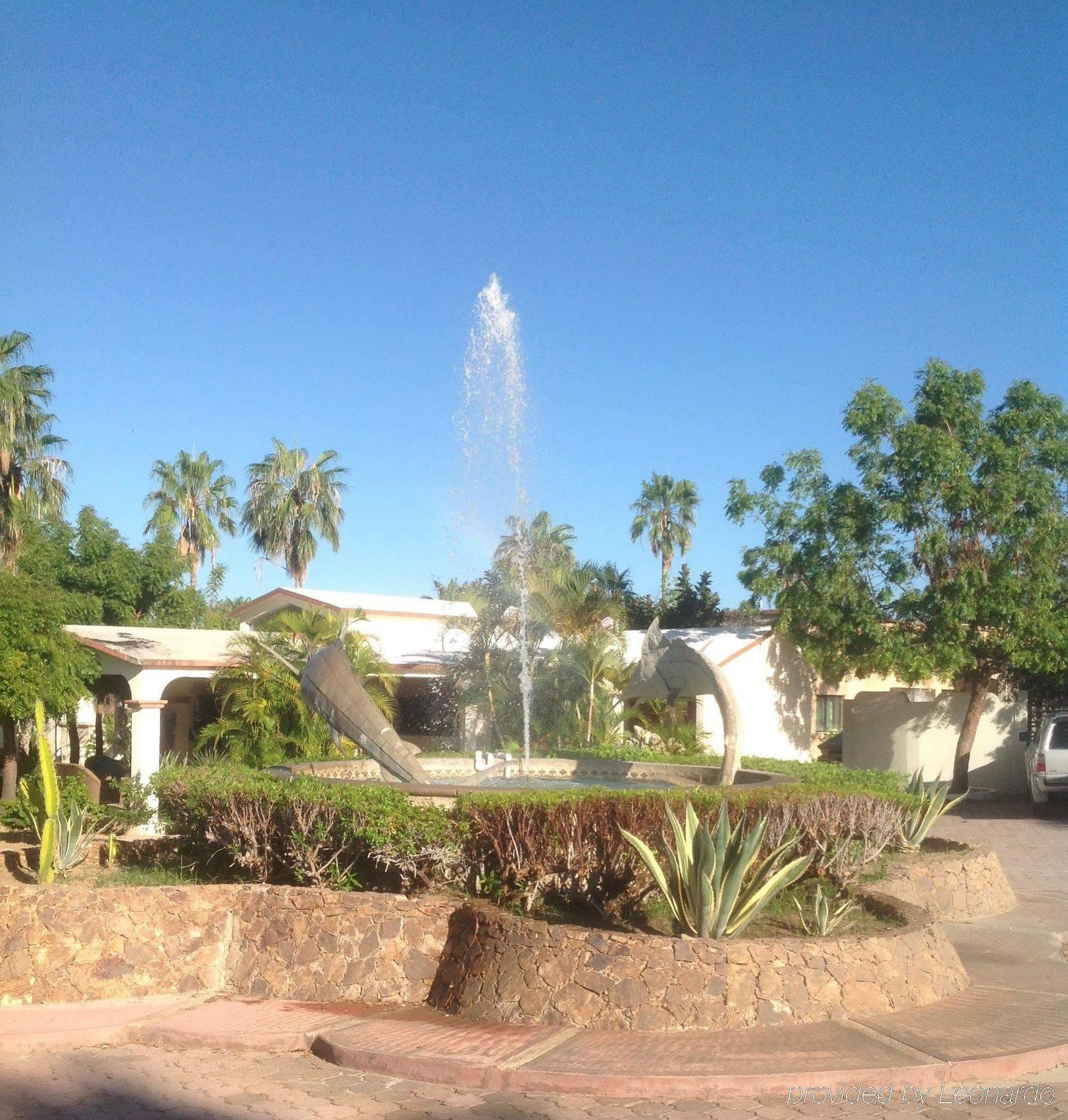 Buena Vista Oceanfront & Hot Springs Resort Buenavista  Exteriör bild